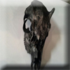 Animal Skull Hydrographics Warped FX