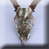 Animal Deer Skull Hydrographics Warped FX