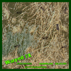 wfx 331 - BackLand West