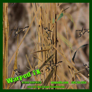 wfx 332 - BackLand Waterfowler