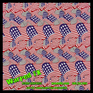 wfx 167 - American Flag Newsprint