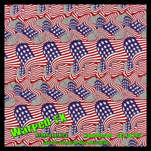 wfx 167 - American Flag Newsprint