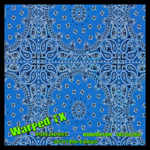 wfx 271 - Blue Bandana