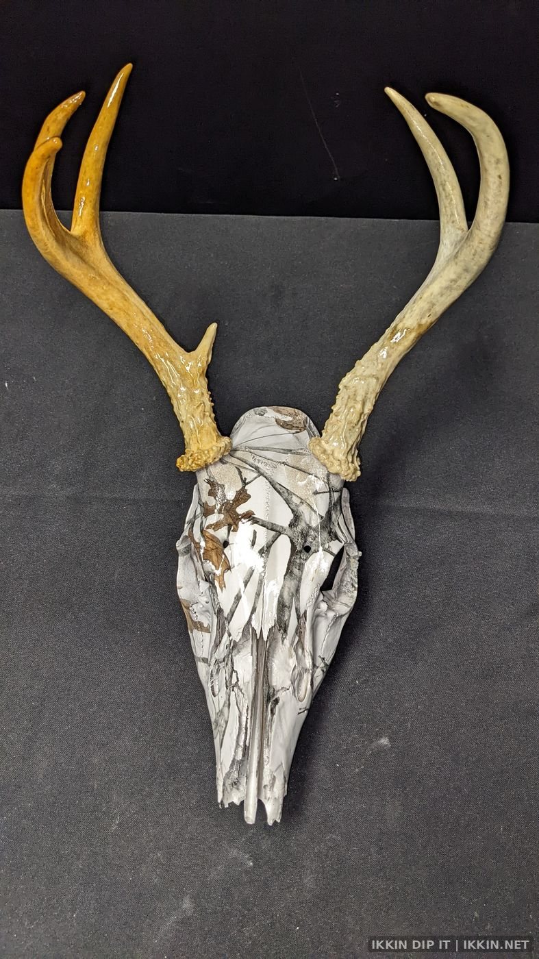 IKKIN Dip It Hydrographics — Animal Skulls project photo 6