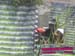 IMG_2177
