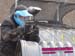 IMG_0243